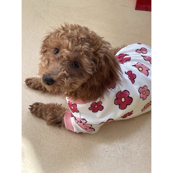 Pink Flower Top &amp; Dress for Cat Dog Baju Anjing Kucing Lucu