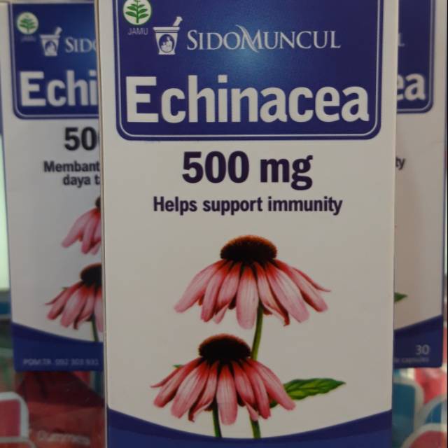 Jual ECHINACEA 500MG SIDOMUNCUL | Shopee Indonesia