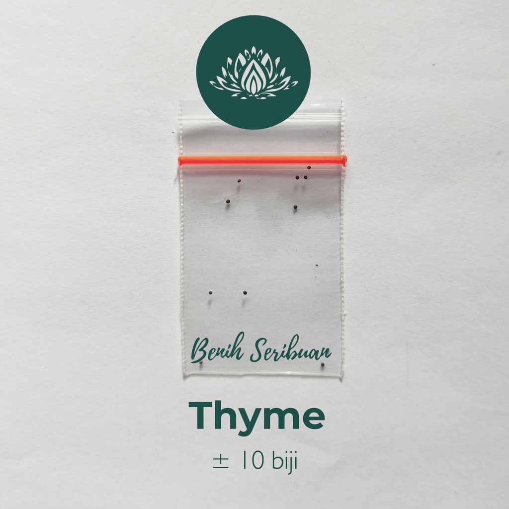 10 Benih Thyme F1 Summer Mr. Fothergills Bibit Tanaman Sayuran Herbal Super Premium Herb Seed Unggul