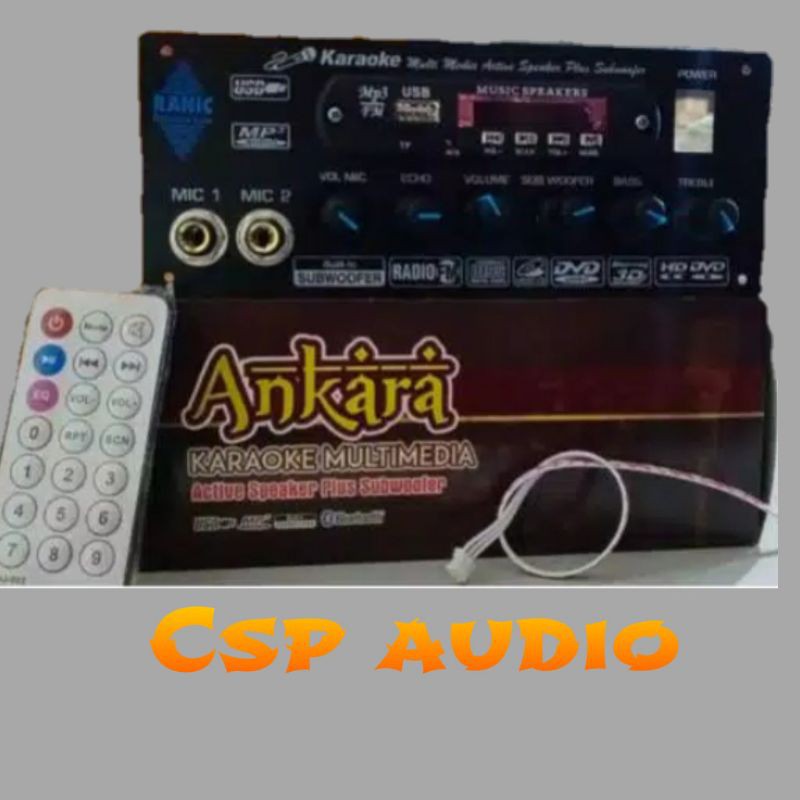 Kit aktive speaker echo MP3 bluetooth
