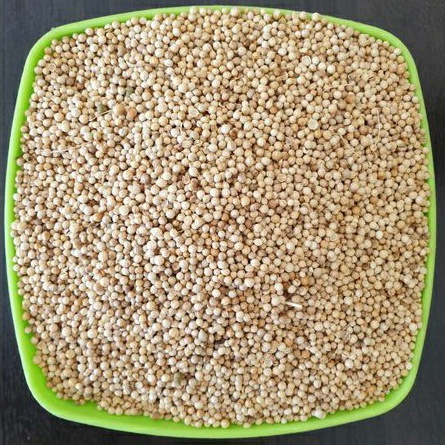 

Ketumbar 1kg murni premium ori / biji ketumbar 1 kg murah