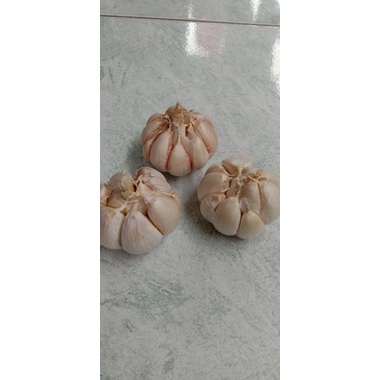 

Bawang Putih/Bawang Putih Honan/bawang putih 500 gram/ bawang putih 1000 gram