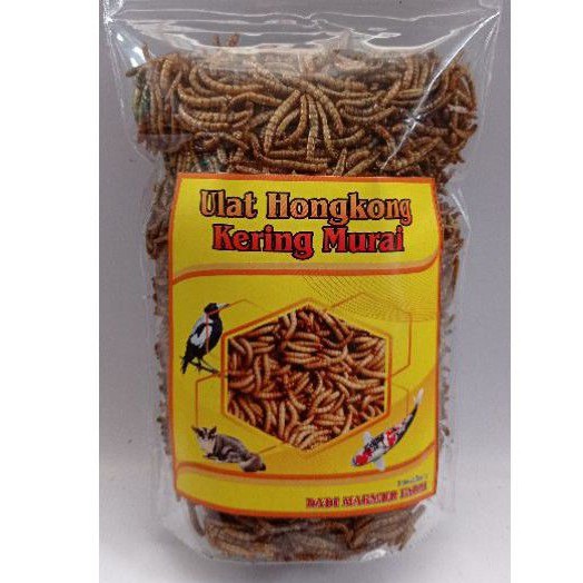 1kg ulat hongkong kering