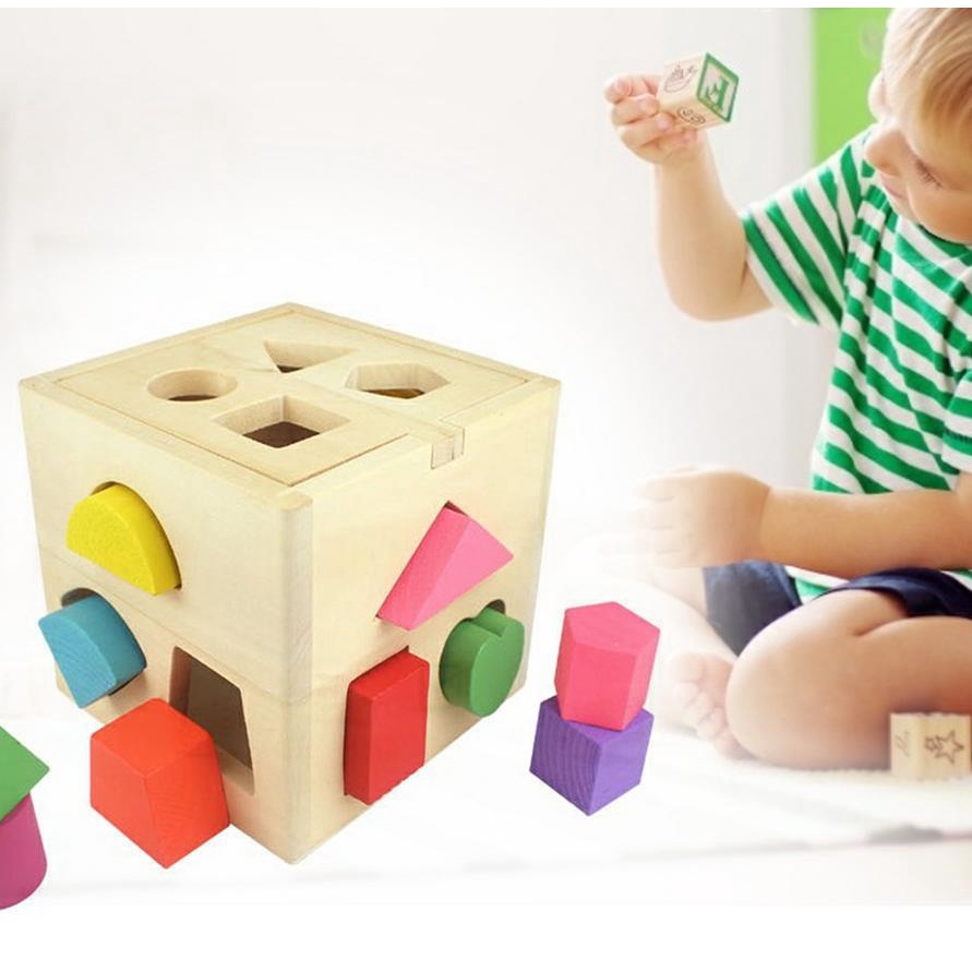 Thirteen Hole Intelligence DDM08 - Mainan Edukasi Anak