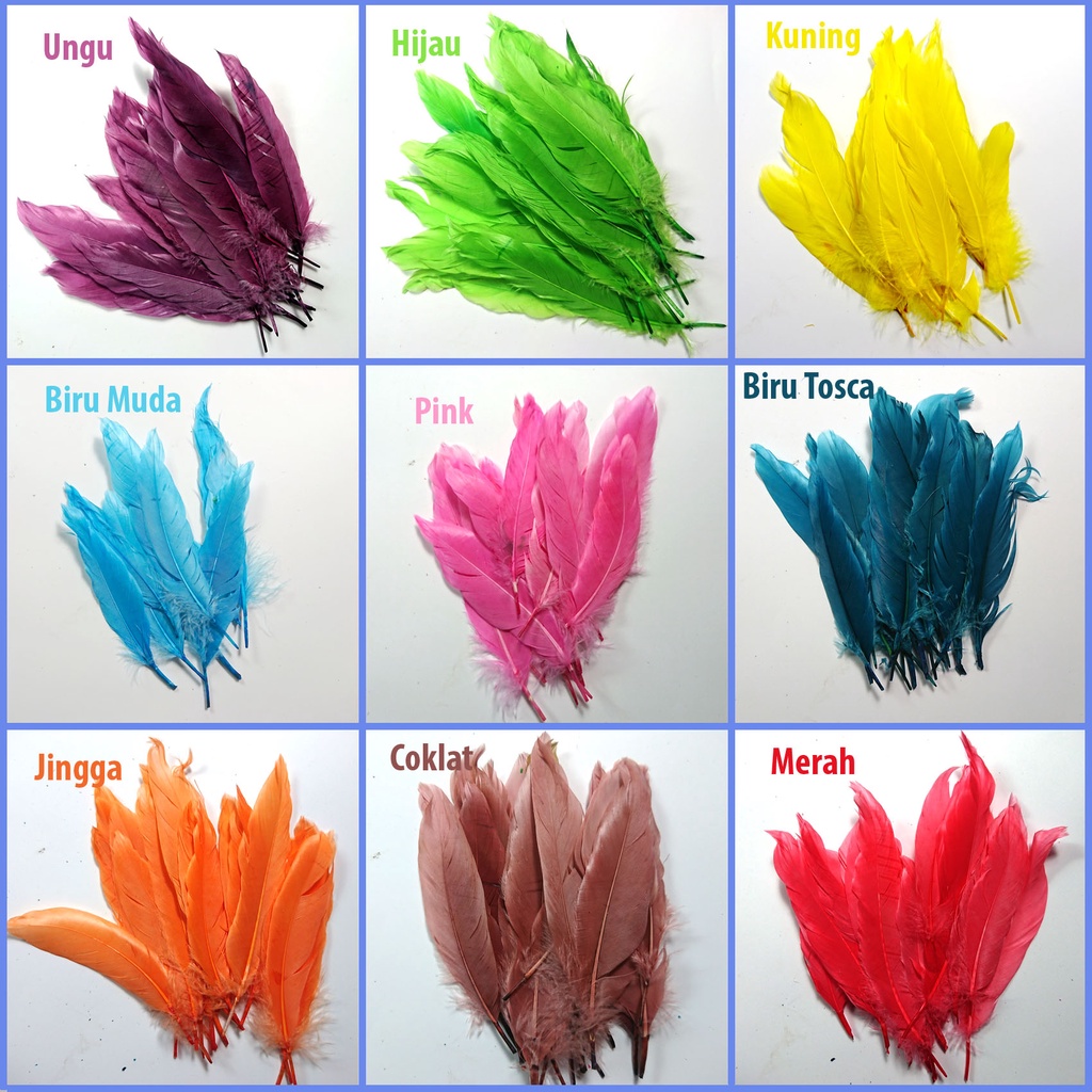 Jual Bulu Ayam Warna warni Halus/Lembut Per 100