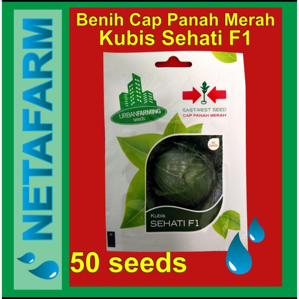 Benih / bibit kubis sehati F1 - cap panah merah