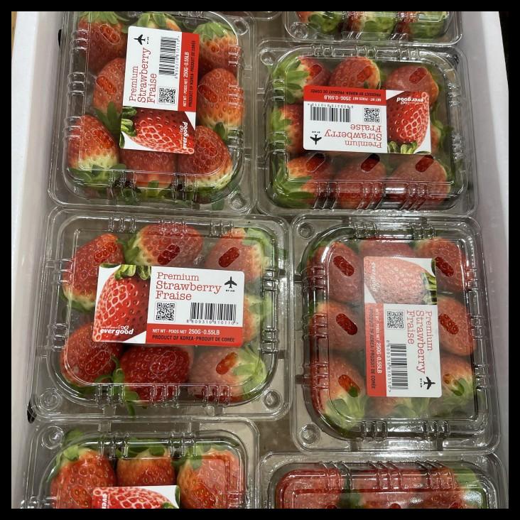 

Buah Strawberry Korea | Strawberry Premium Korea - 1 Pack