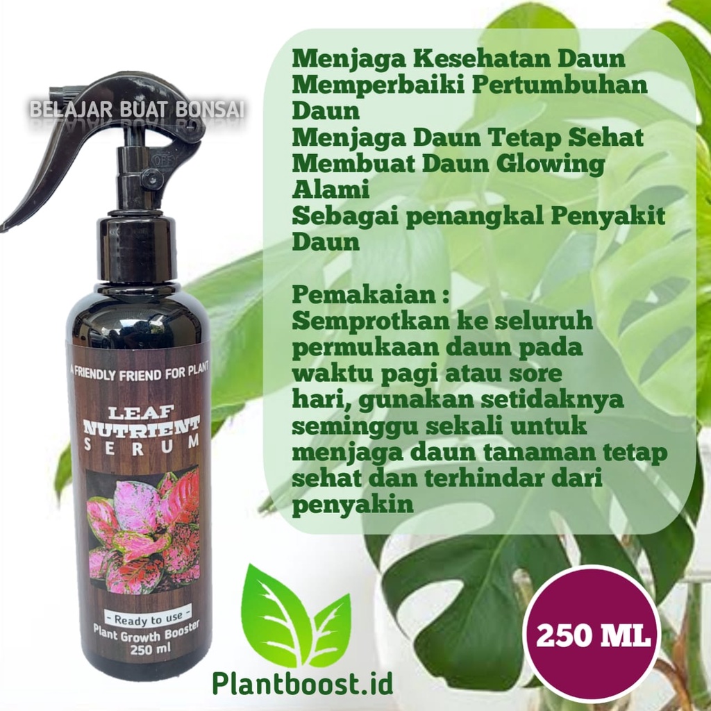 Pupuk daun Spray Leaf Nutrient Serum 250 ML For Plant Food