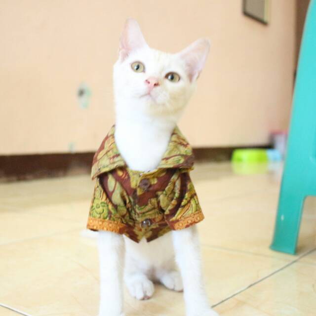 Kemeja batik kondangan untuk kucing / baju kucing murah meriah size S M L XL