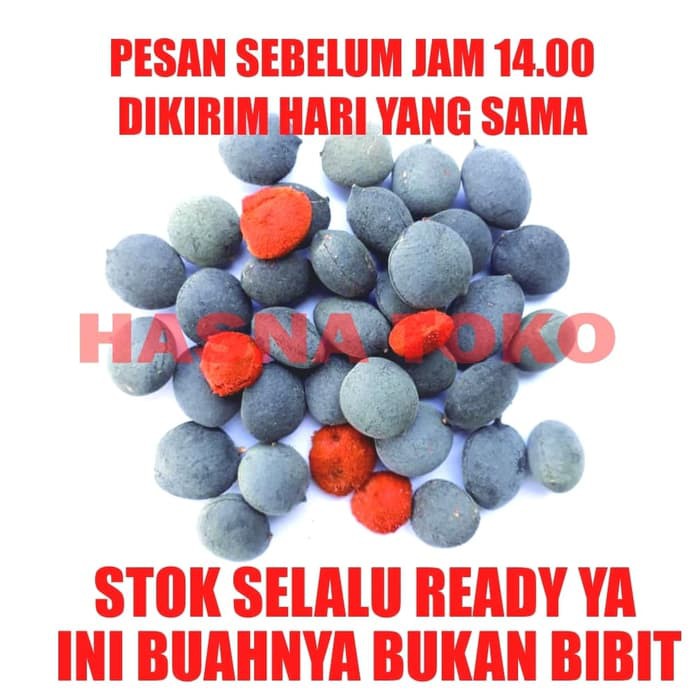 

Buah asem kranji 100 gram ~ kp1443