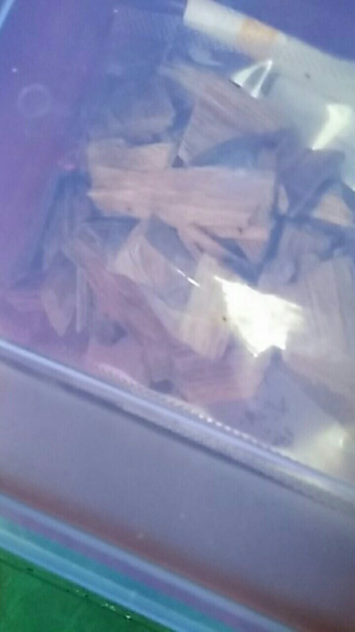 Kayu Bukhur Dupa Gaharu Alami Natural Oud Gahru Asli Grade B Kalimantan Sumatera Aceh Wangi