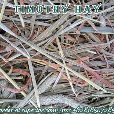 

[COD] Timothy Hay USA [COD]