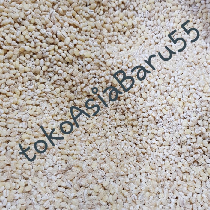 

Q12Sa Hanjali 500Gr / Jali Belanda / Hanjeli Jali / Barley D51qs448