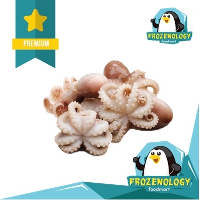 

Baby Octopus (Baby Gurita) Frozen Fresh Premium Seafood