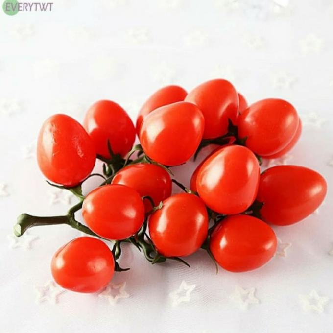 Kualitas terbaik] tomat hias buah pajangan tomat hiasan tomat replika tomat buah hias