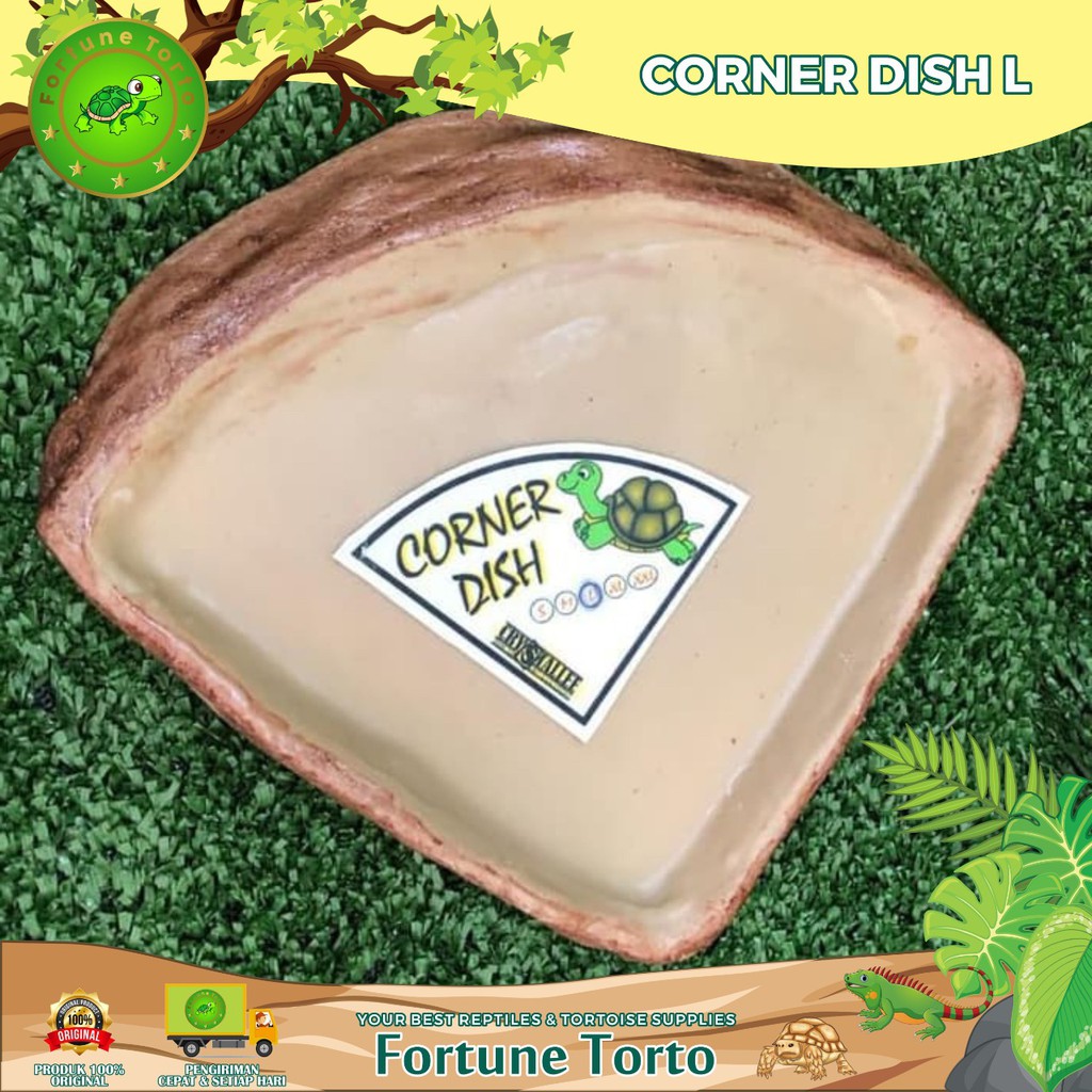 corner dish size l tempat minum torto reptile kura kura darat