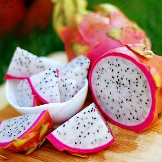 Biji Buah Naga Putih White Pitaya Dragon Fruit Seeds Original 10 Biji