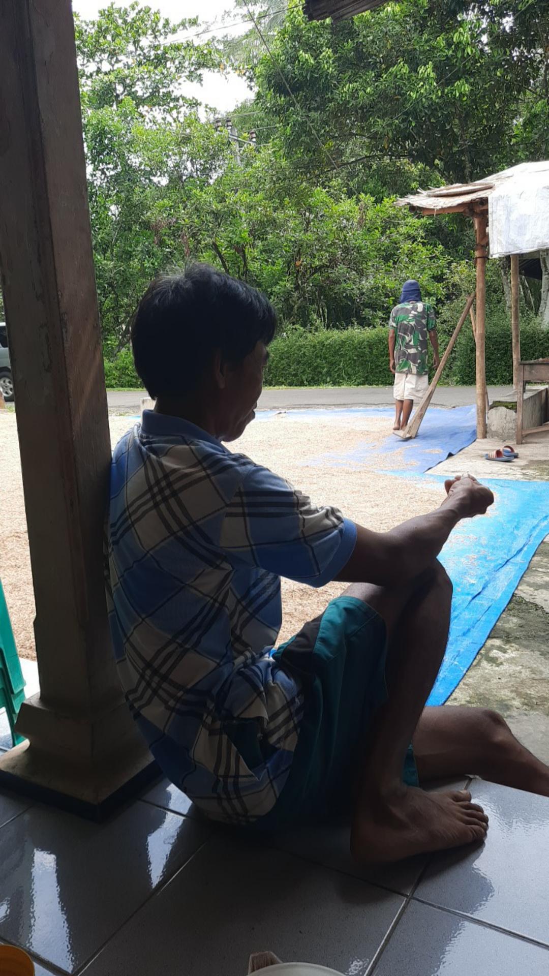 Tiodor 30wp Pembasmi Hama Wereng Kutu Daun Klaper & Cabuk