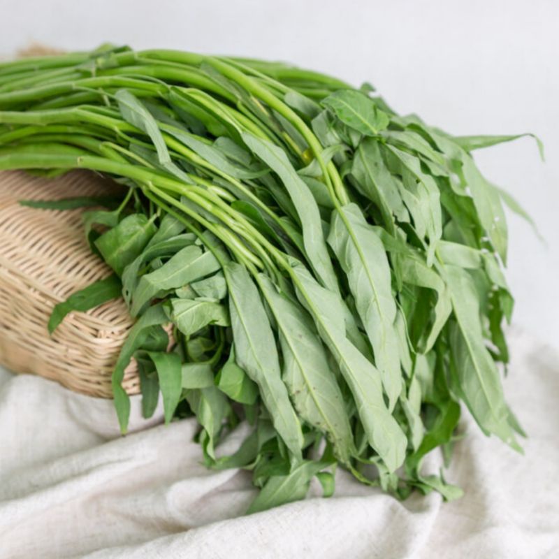 

Kangkung Hijau Sayur Segar Per Ikat | Hasil Lampung