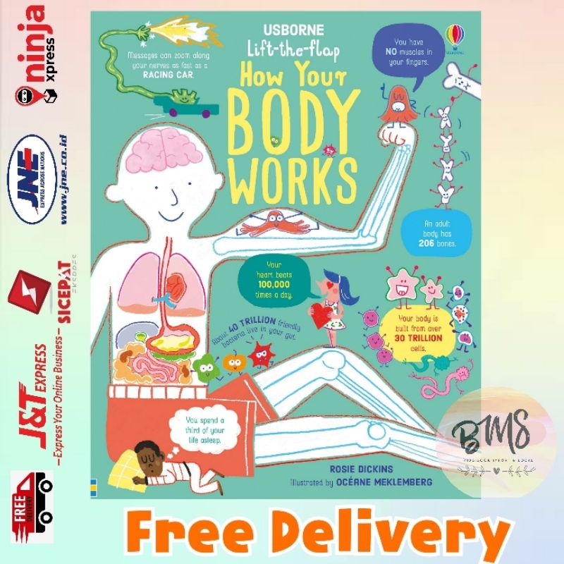 Usborne Lift the Flap How Your Body Works