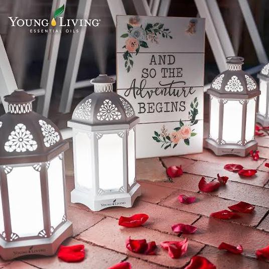 Lantern Diffuser Young Living Bergaransi Sakinahstore16