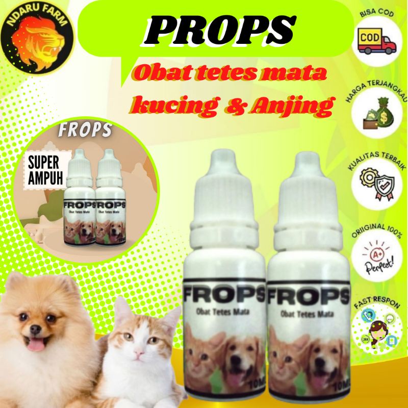 Obat Tetes Mata Kucing Atasi Mata Iritasi Dan Belekan NDARUFRAM
