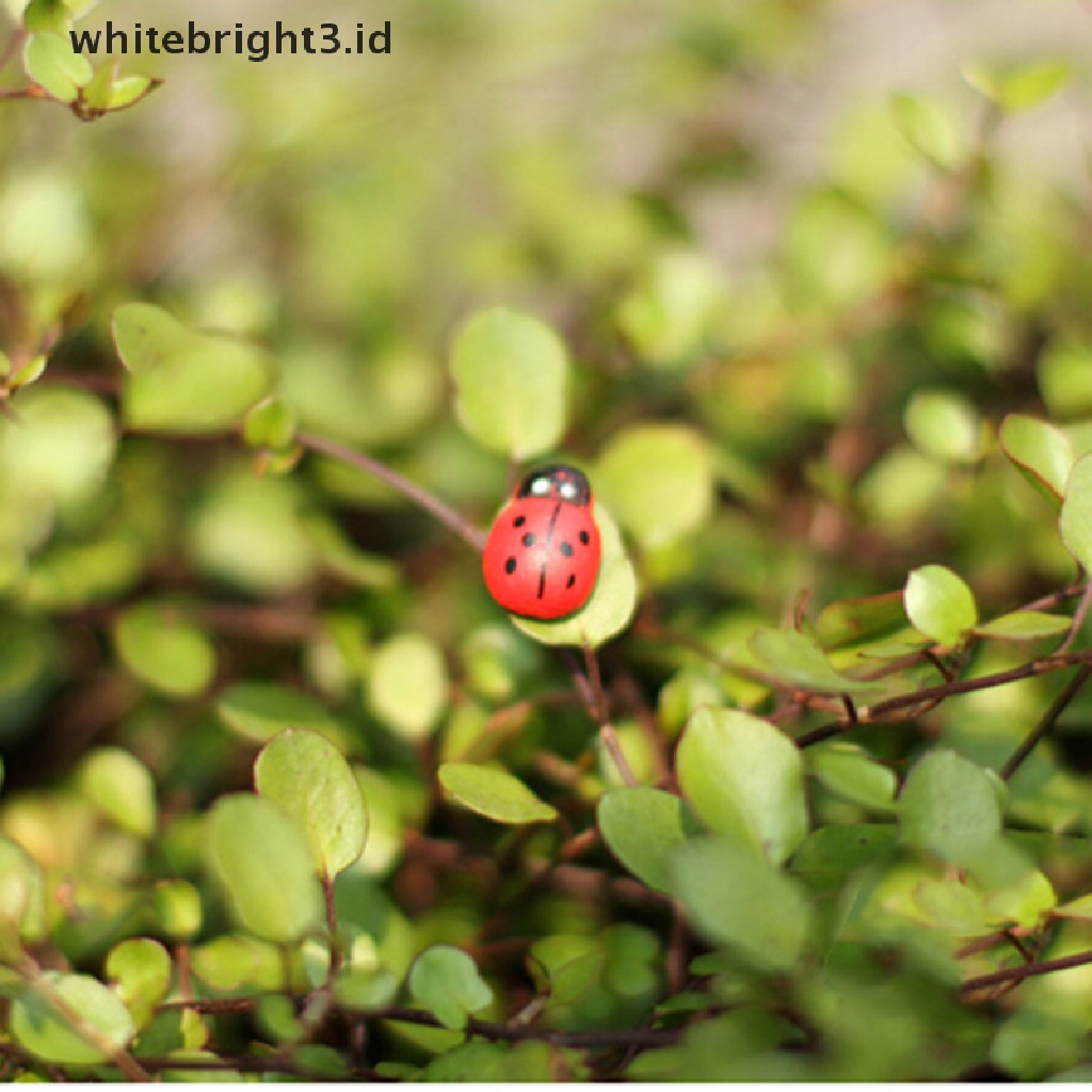 {whitebright3.id} Mini Ladybug Beatles Garden Ornaments Scenery Craft For Plant Pot Fairy Decor ,