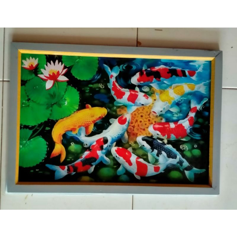 hiasan dinding lukisan cetak ikan koi hoxy plus bingkai ukuran 85×55