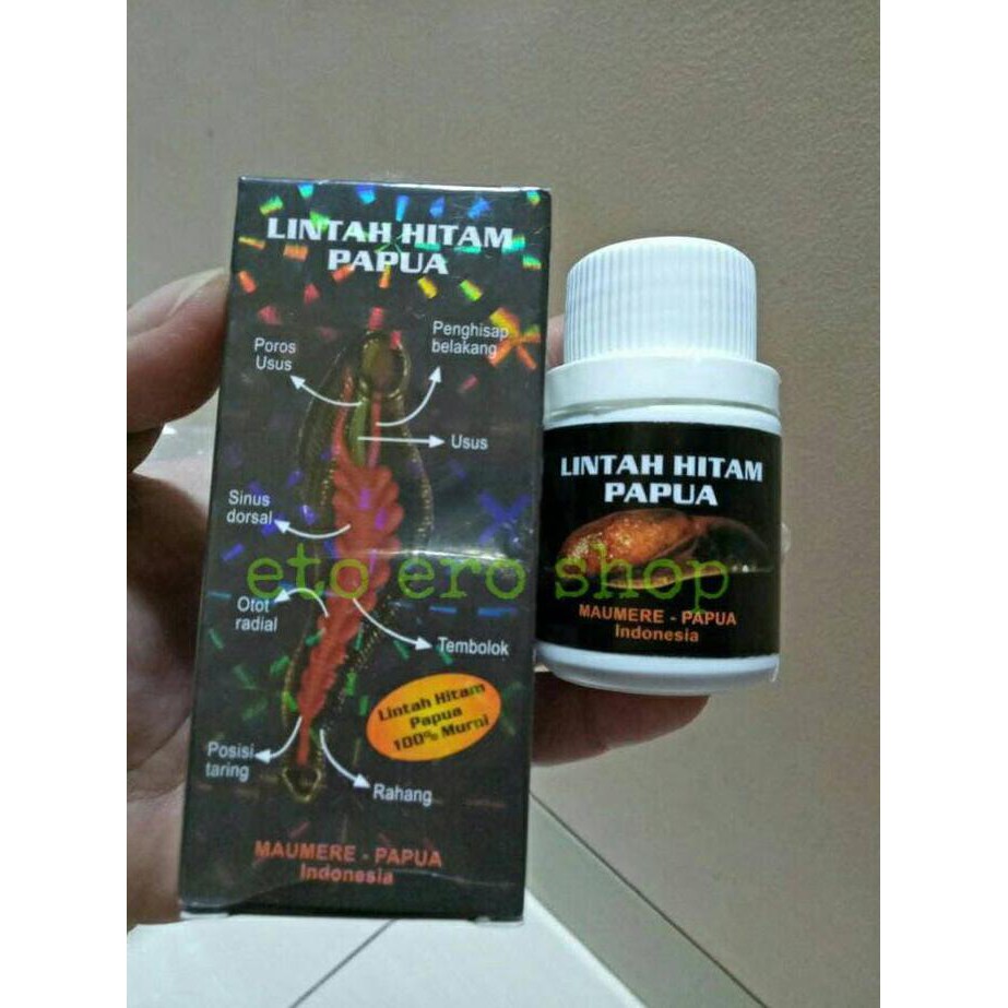 minyak lintah hitam papua asli