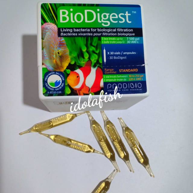 660+ Obat Jamur Ikan Hias Air Laut HD Terbaru