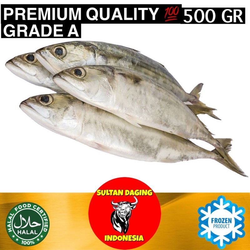 

IKAN KEMBUNG BANJAR PREMIUM 500 GRAM/IKANKEMBUNG SEGAR/IKAN KEMBUNG FROZEN/IKAN KEMBUNG BANJAR SEGAR