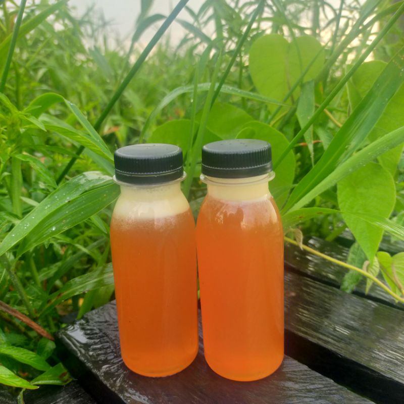 

Madu Hutan Liar Murni Herbal Kekebalan Tubuh Penambah Nafsu Makan Jantung Ginjal Penambah Stamina Kolesterol Isi 100ml