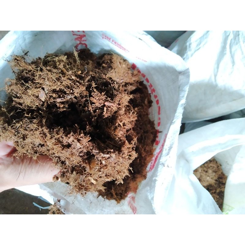 Media Tanam Humus Bambu Siap Pakai, Kaya akan PGPR (Plant Growth Promoting Rhizobacteria) 1Kg