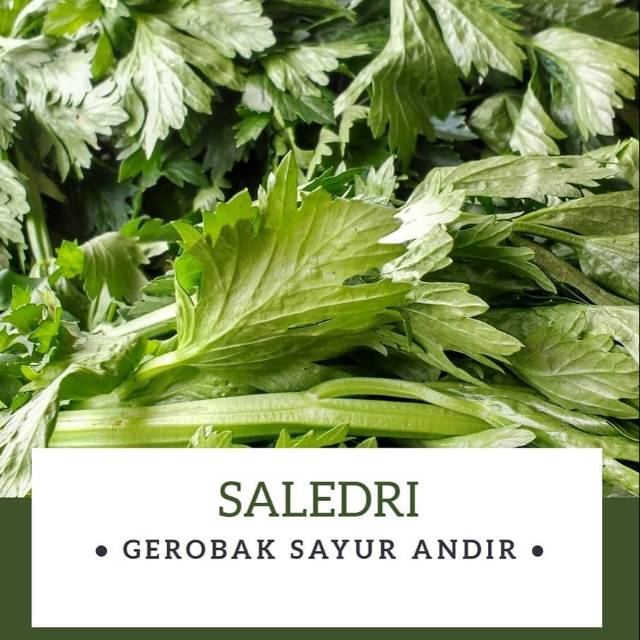 

Daun Saledri / 100gr