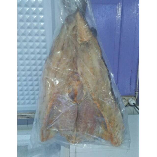 

Tersedia ikan jambal roti 2 kg