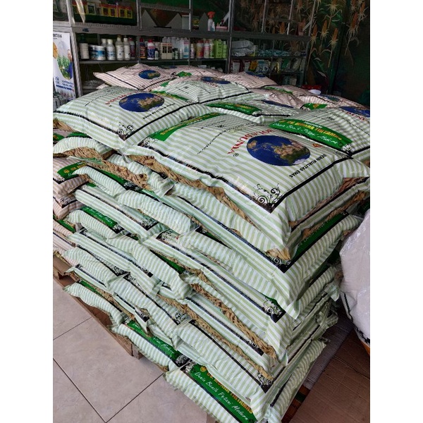 Benih Padi Bola Dunia Ciherang VIP 5Kg | Terjamin Kualitas dan Keaslian Produk