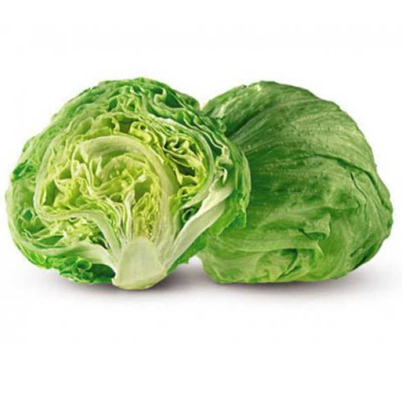 

KHUSUS BANJAR | Lettuce Head / Iceberg Lettuce Fresh 500 Gram