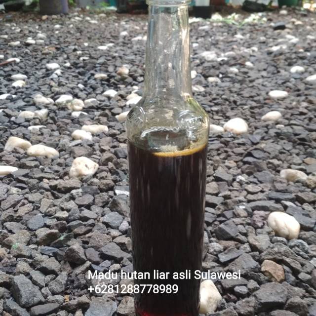 

Madu (honey) hitam hutan liar asli Sulawesi