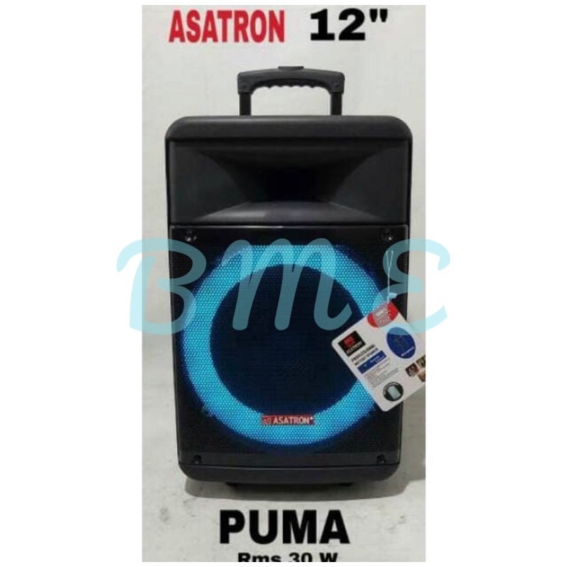 Speaker Portable Meeting Wireless Asatron Puma 12inch