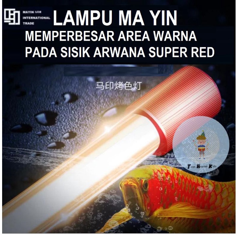 Lampu TANNING Celup Submersible T5 MAYIN 2700 KAquarium Ikan Arowana 92cm