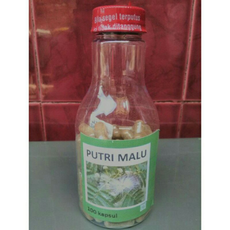 Kapsul Putri Malu isi 100 kapsul