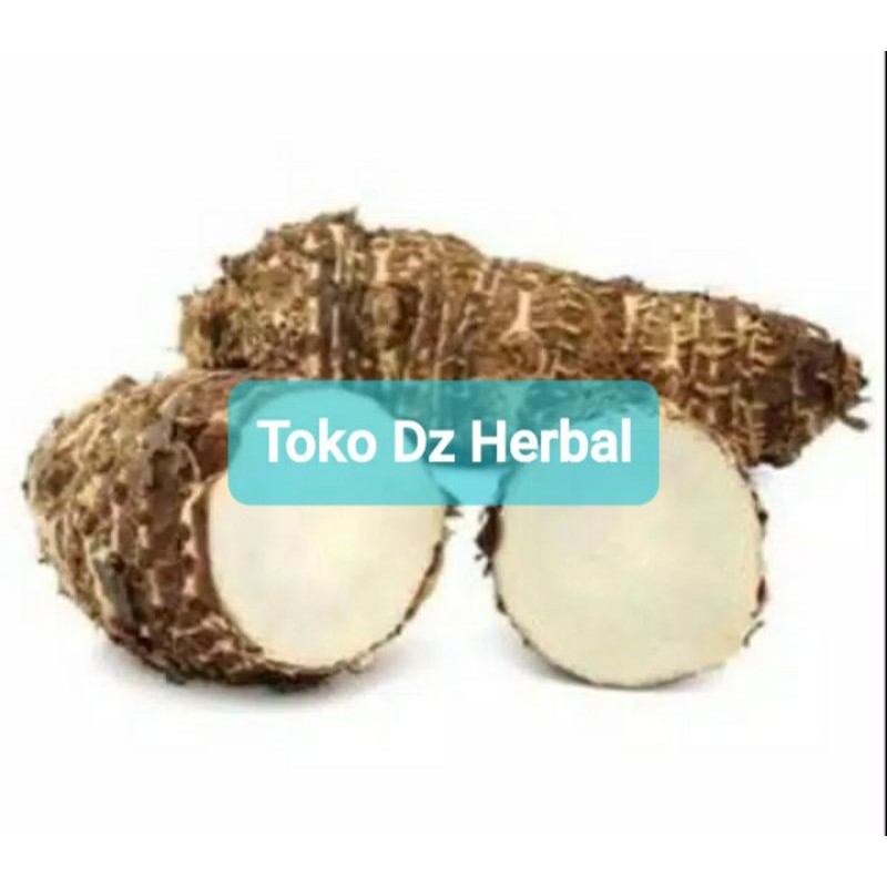 

Jual umbi talas pulen per 1 kg fresh-az