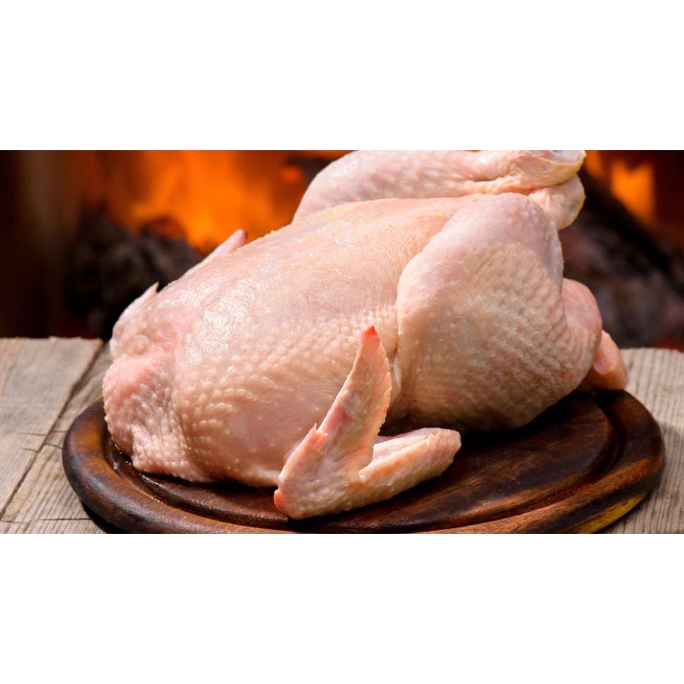 

Ayam negeri per ekor