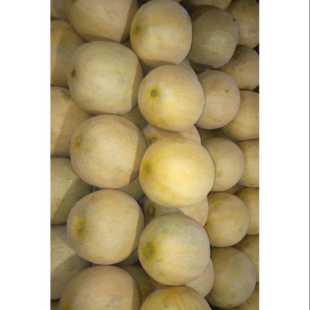 

Buah melon jual per 1 kepala|melon hijau|melon manis|buah segar|buah segar bandung