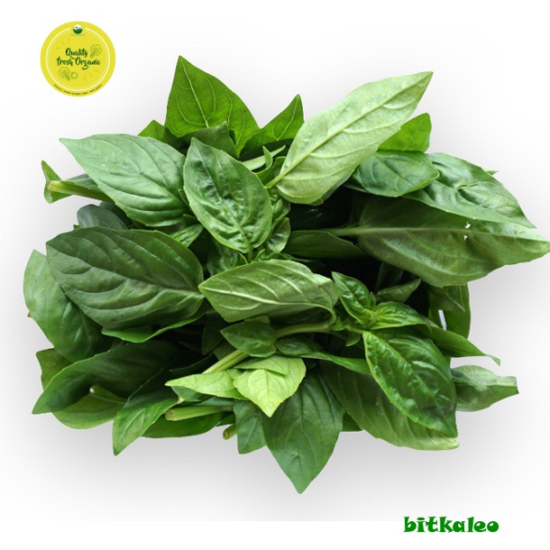 

Basil Organik 100 gr (PO)