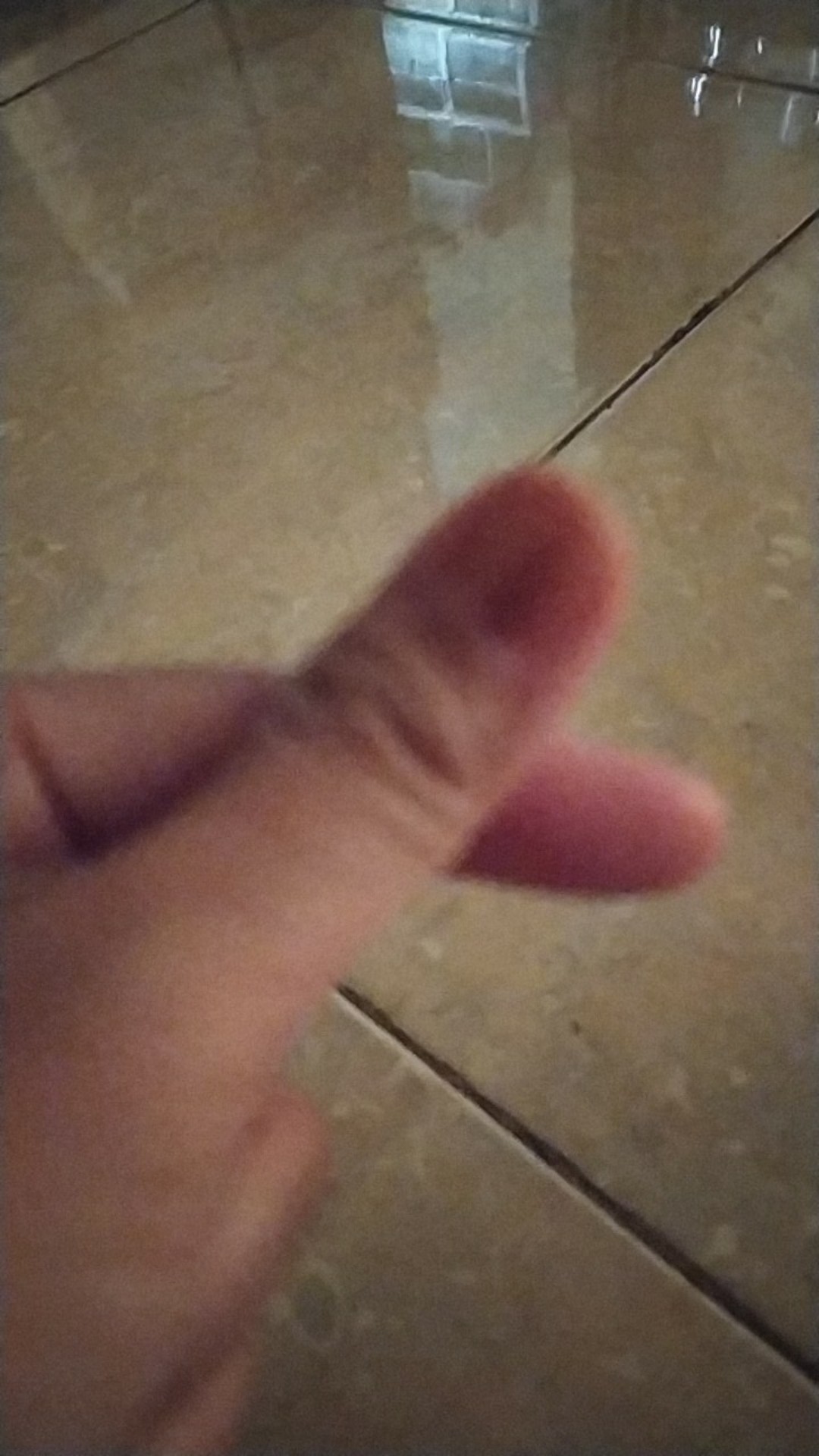 Jasa Cek Plagiasi  - Turnitin [no - Repository Aman 100%]