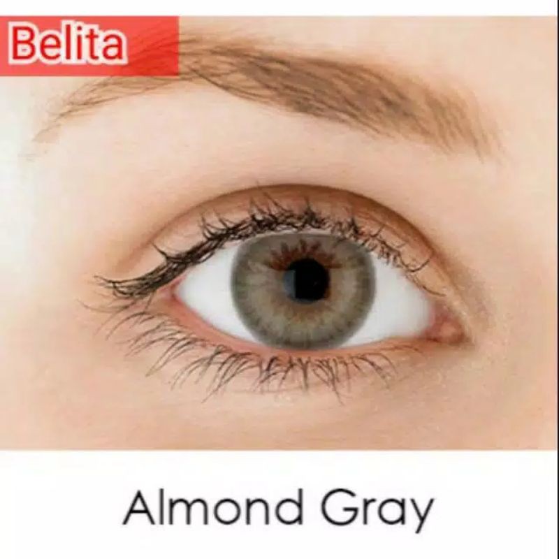 softlens Belita almond By topgel normal minus