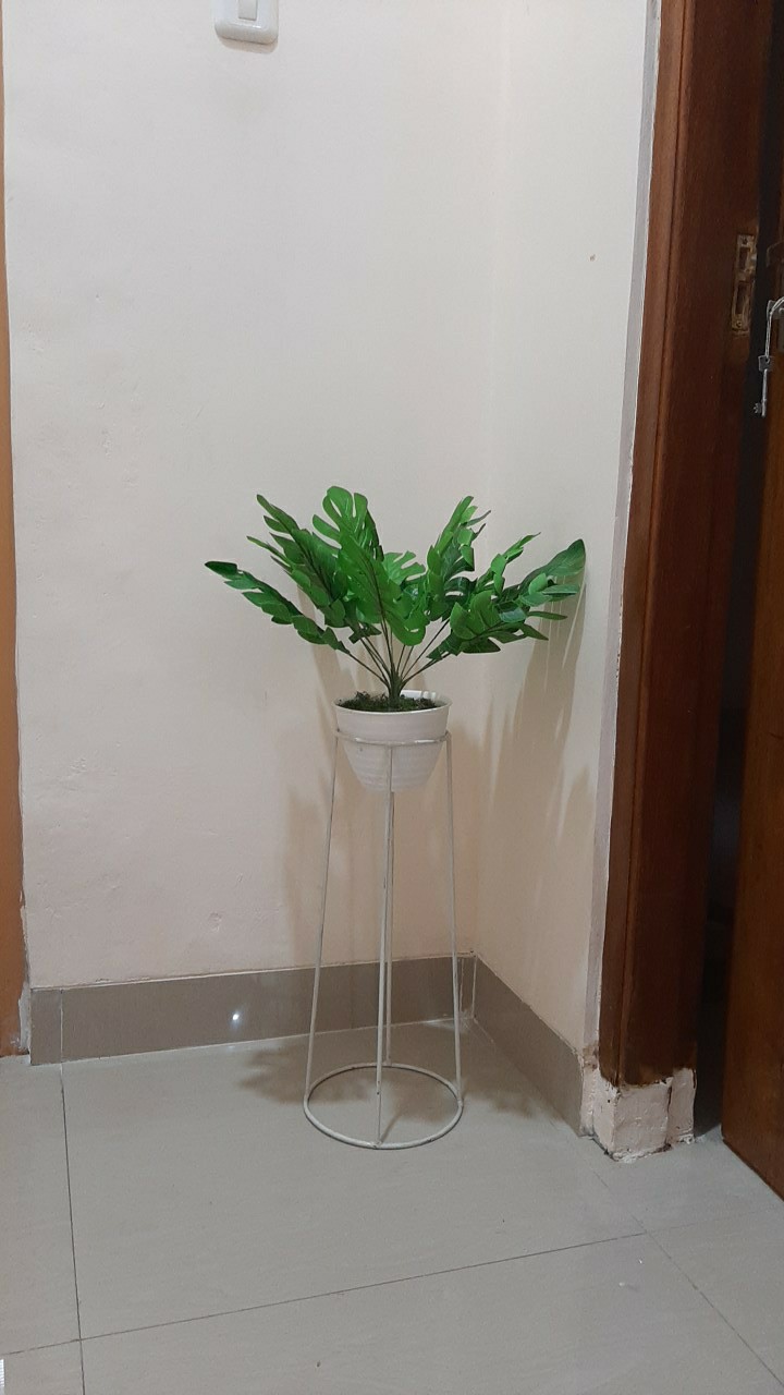 Ariani1318 Set Bunga Plastik Daun Monstera Dengan Pot Plastik Tawon Dekorasi Rumah Shabby Chic