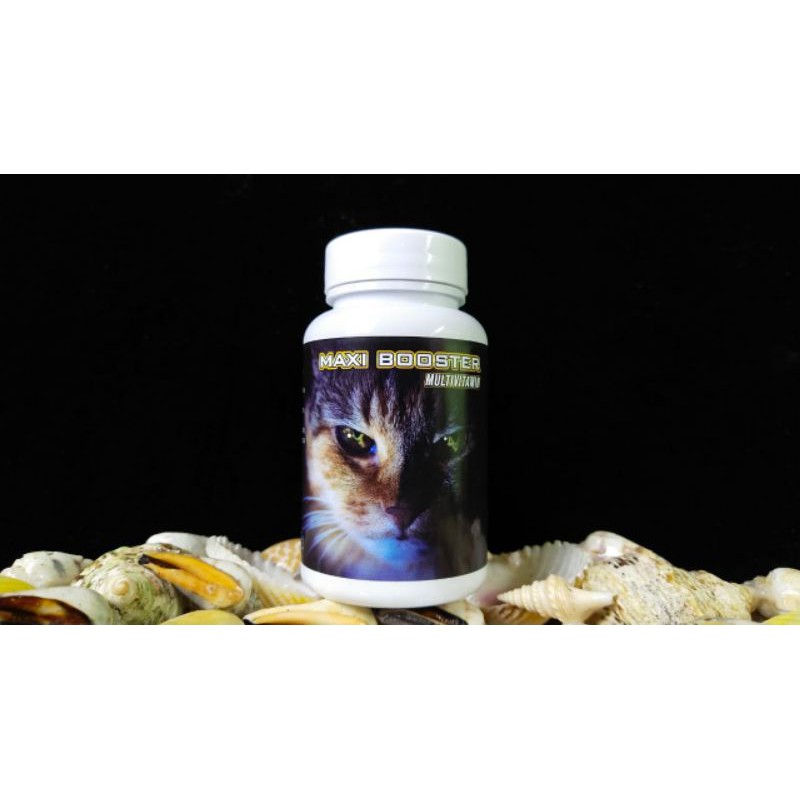 Maxi booster vitamin kucing murah original terpecaya bagus