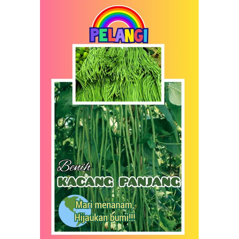Kacang Panjang Biji / Benih Kacang Panjang